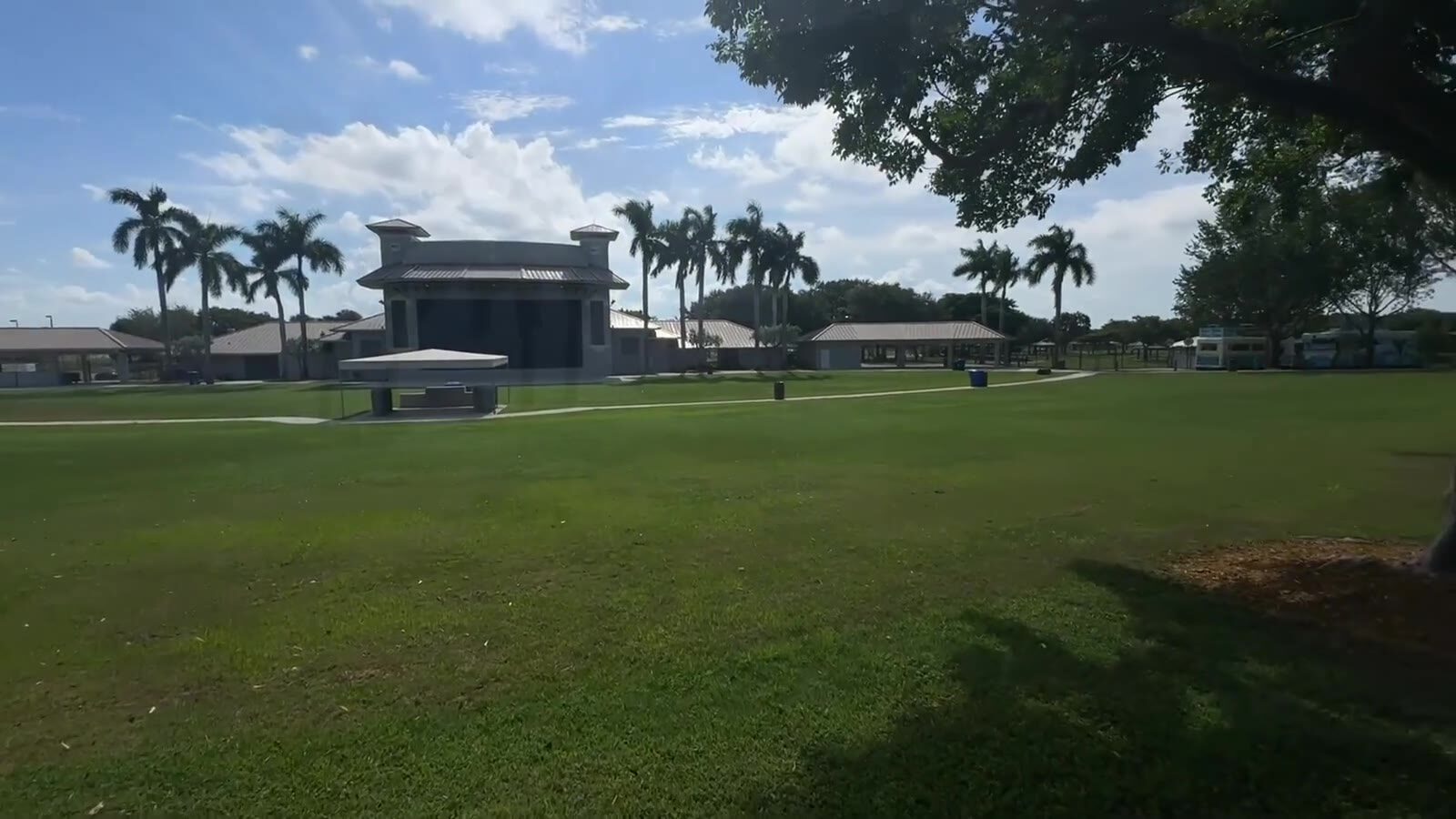 Walking across the Sunset Cove lawn toward the amphitheater under royal palms